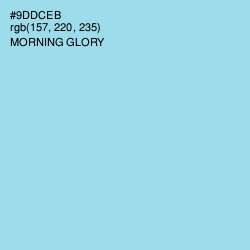 #9DDCEB - Morning Glory Color Image